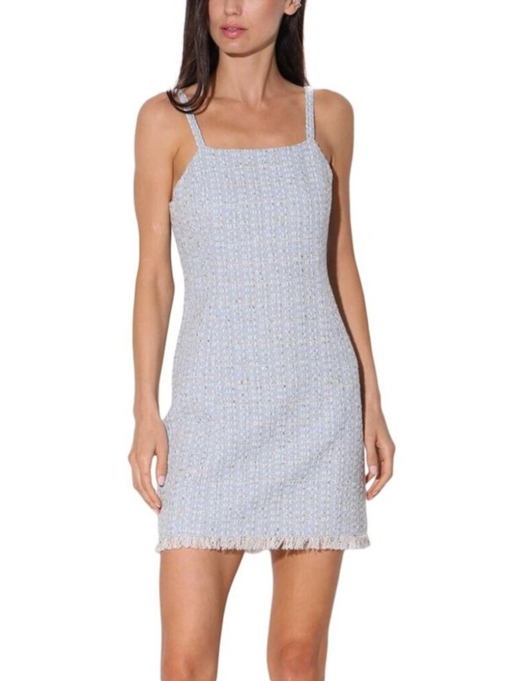 Walter Baker Barbara Tweed Mini Dress Size 2 Nwt